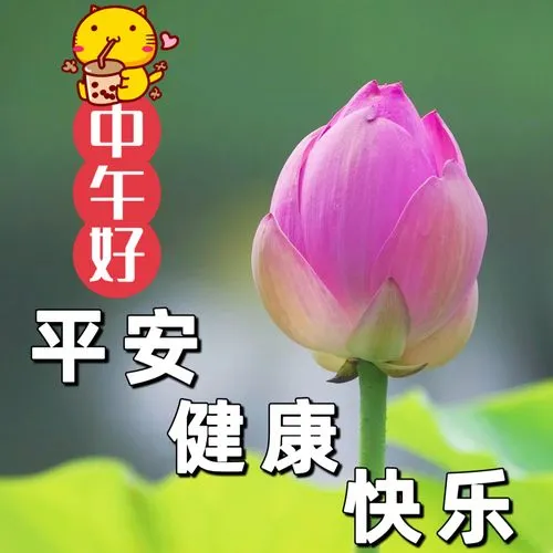 中午好,午安
