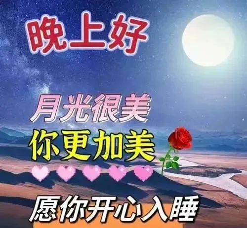 晚上好,晚安