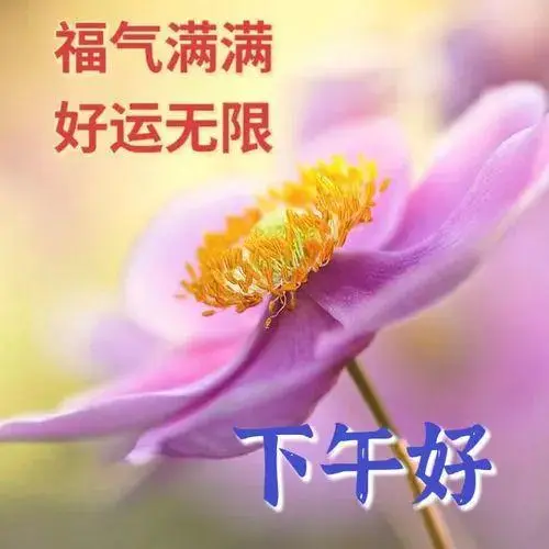下午好