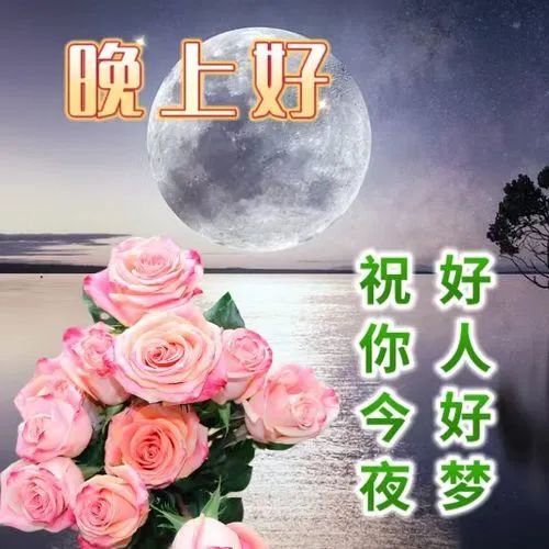 晚上好,晚安