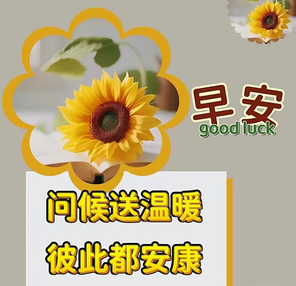 早安,早上好,上午好
