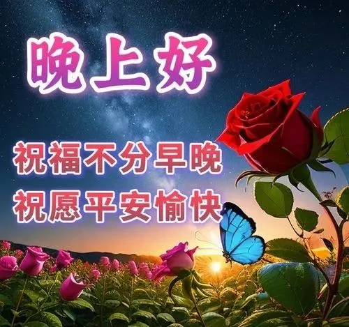 晚上好,晚安