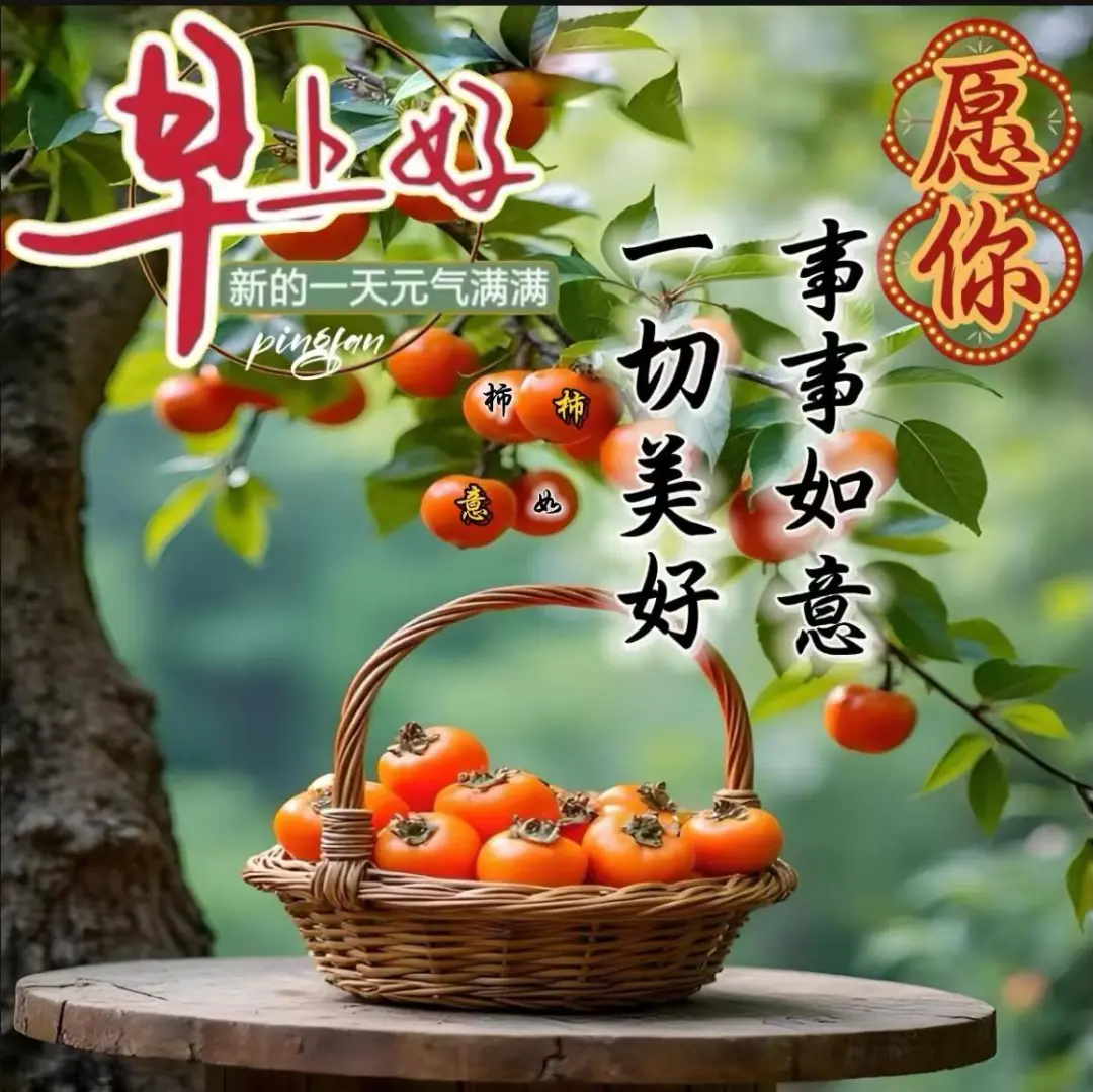 早安,早上好,上午好