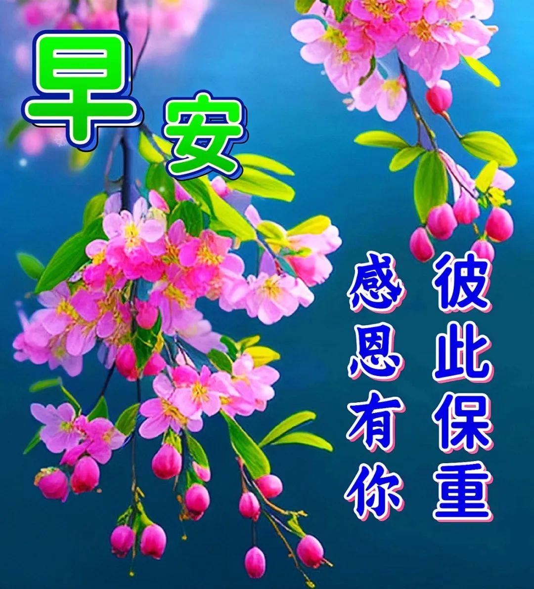 早安,早上好,上午好