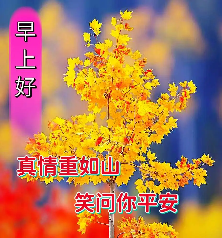 早安,早上好,上午好
