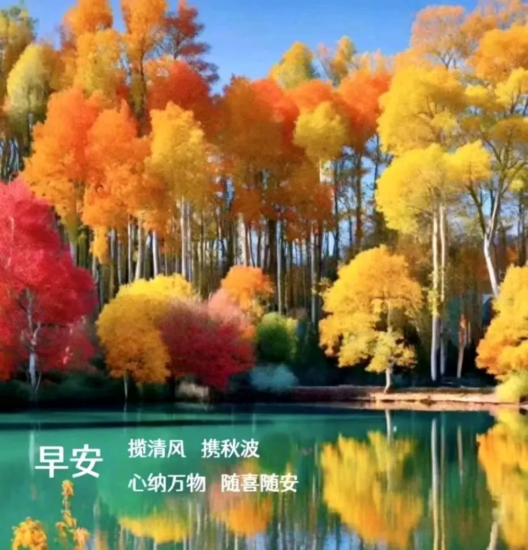 早安,早上好,上午好