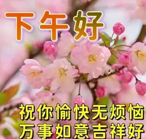下午好