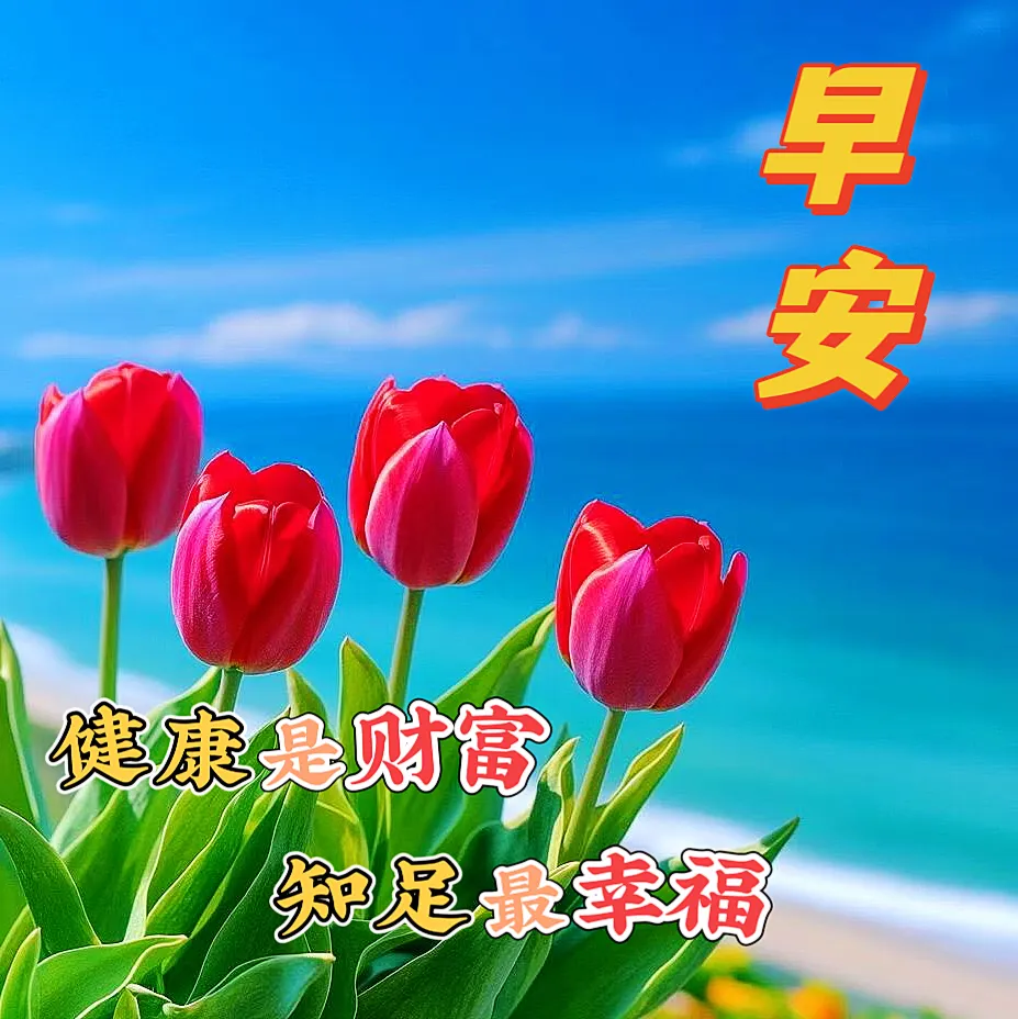 早安,早上好,上午好