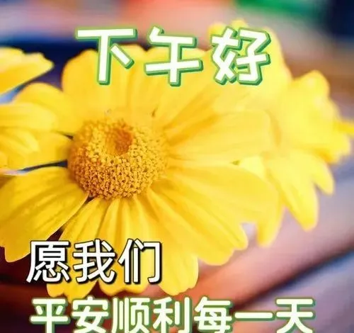 下午好