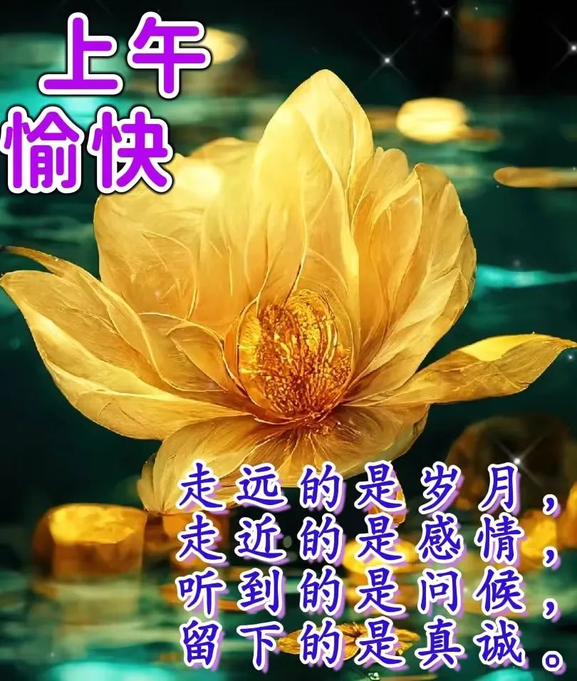 上午好