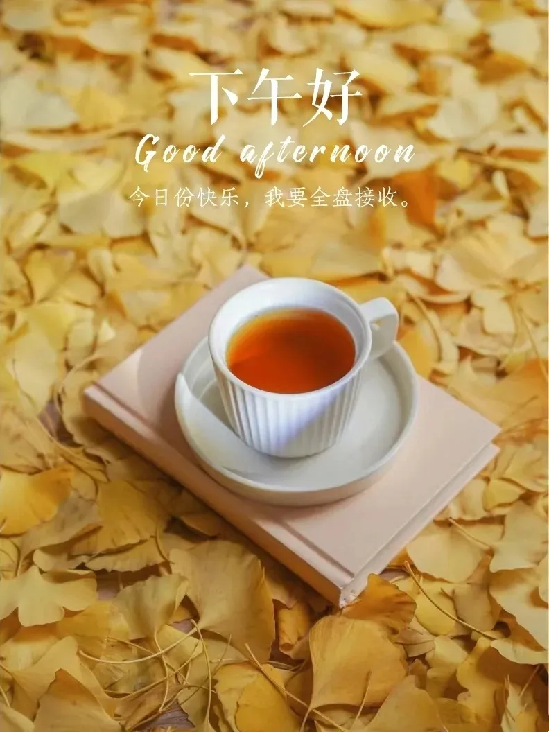 下午好
