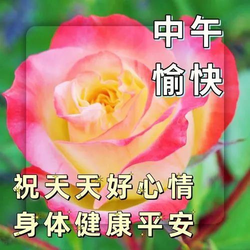 中午好,午安