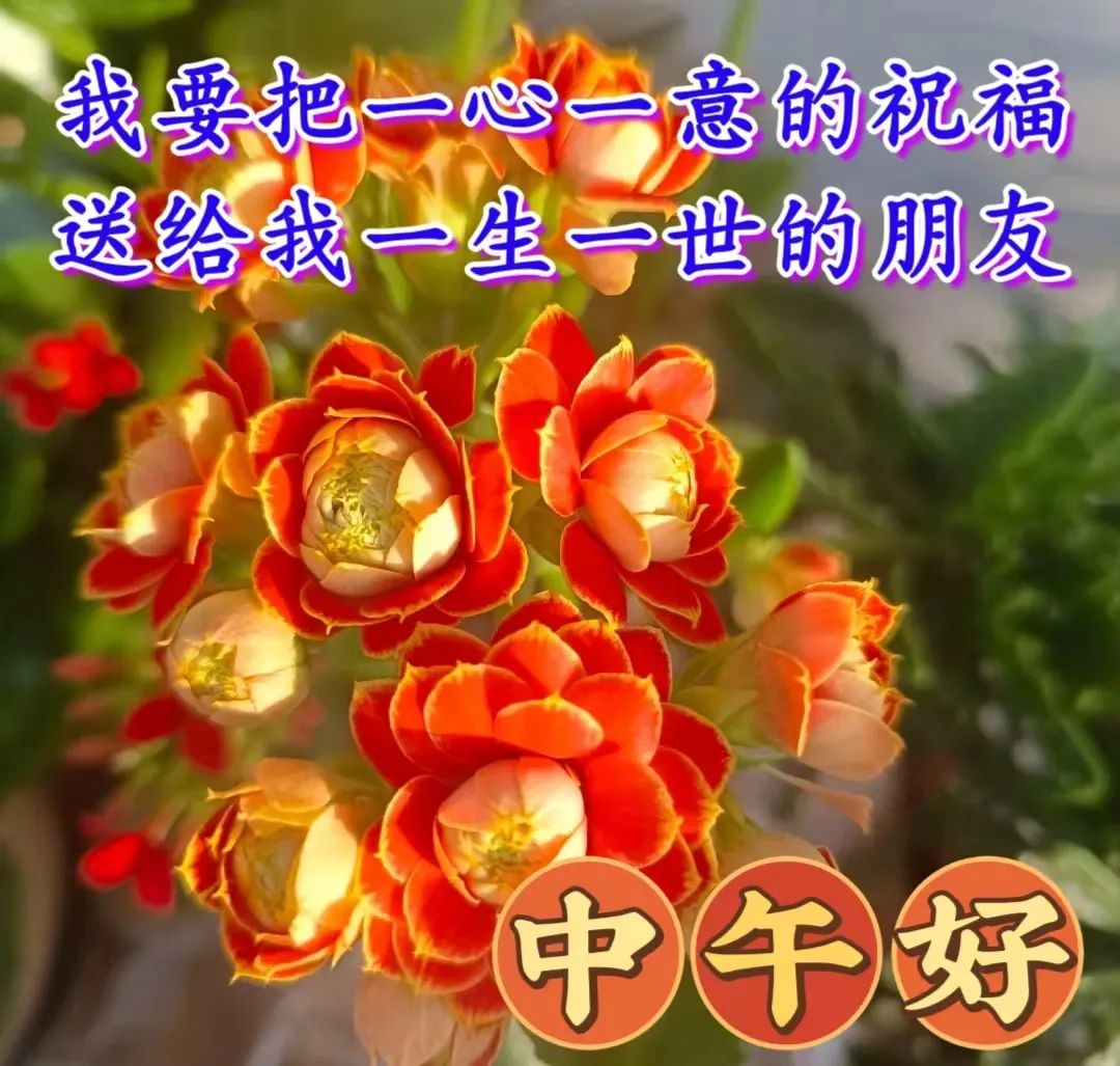 中午好,午安