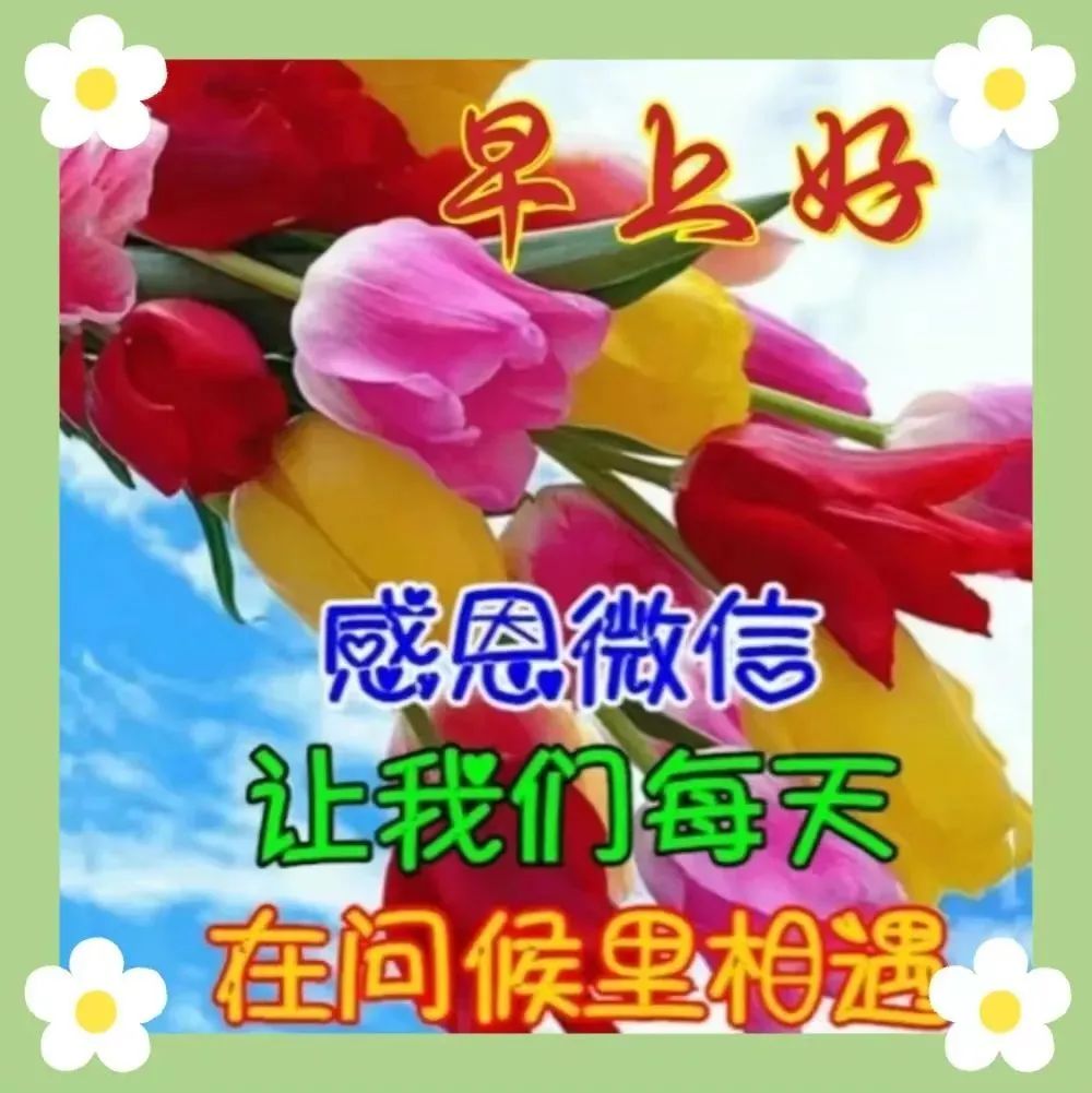 早安,早上好,上午好