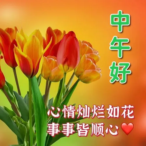 中午好,午安