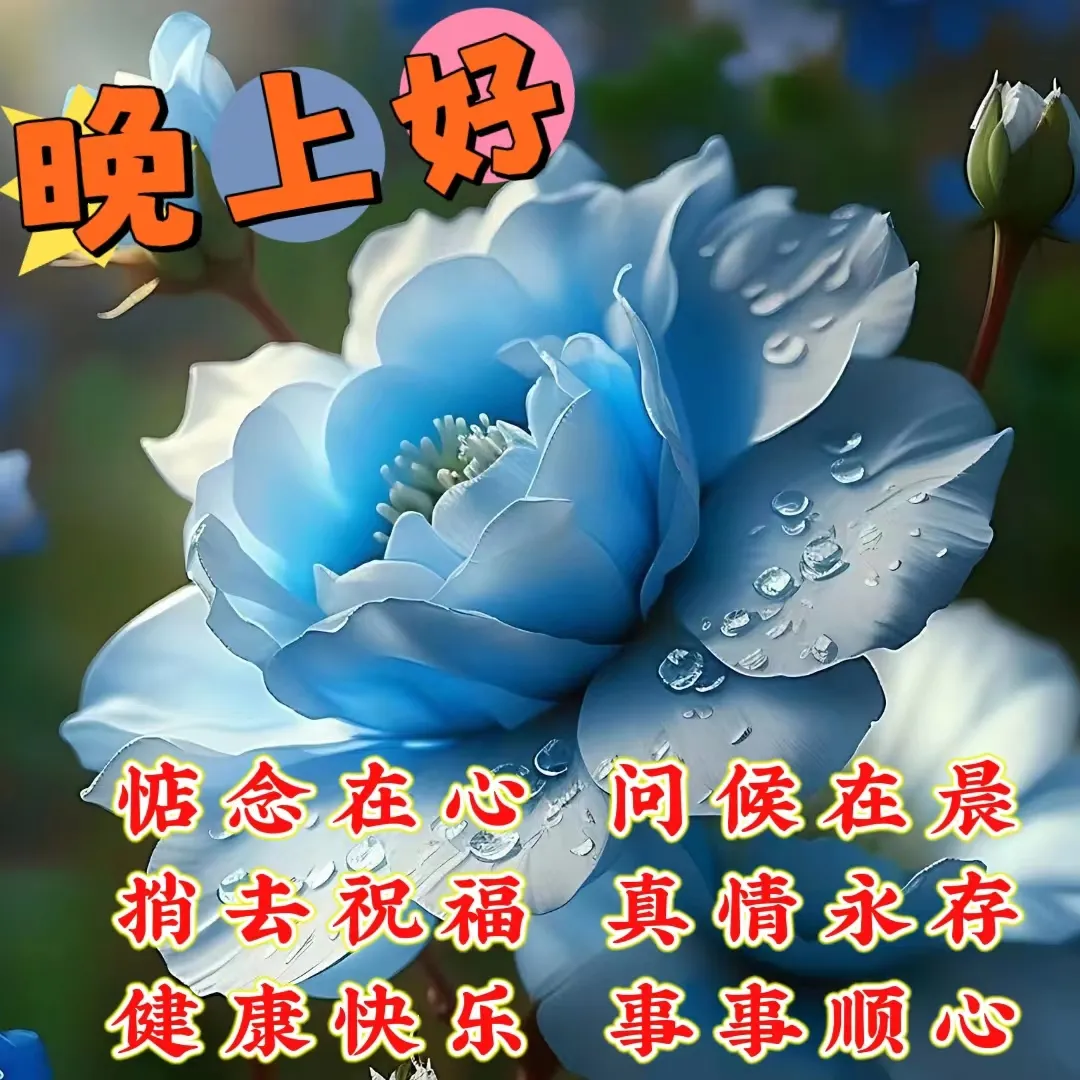 晚上好,晚安