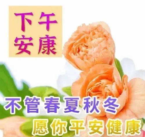 下午好