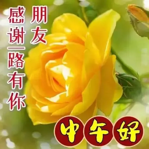 中午好,午安