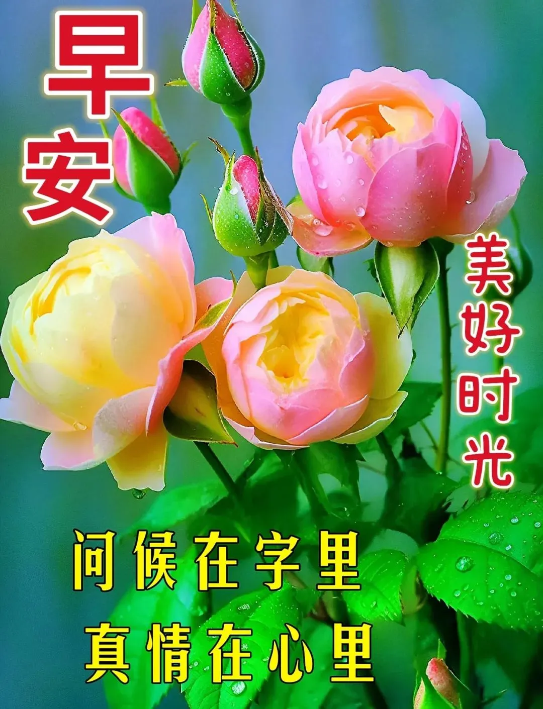 早安,早上好,上午好