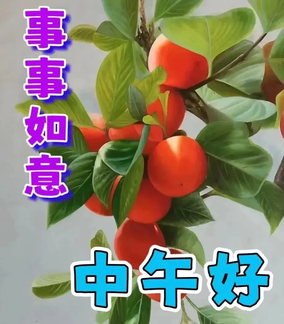 中午好,午安
