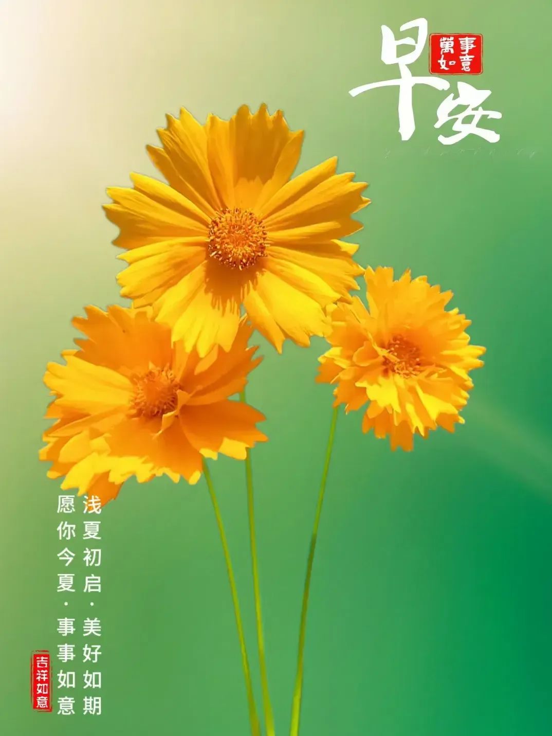 早安,早上好,上午好