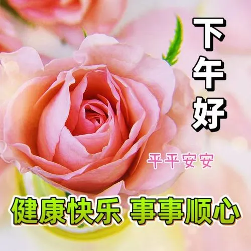 下午好