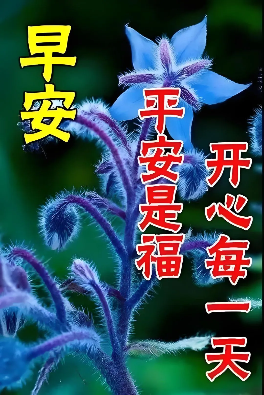 早安,早上好,上午好