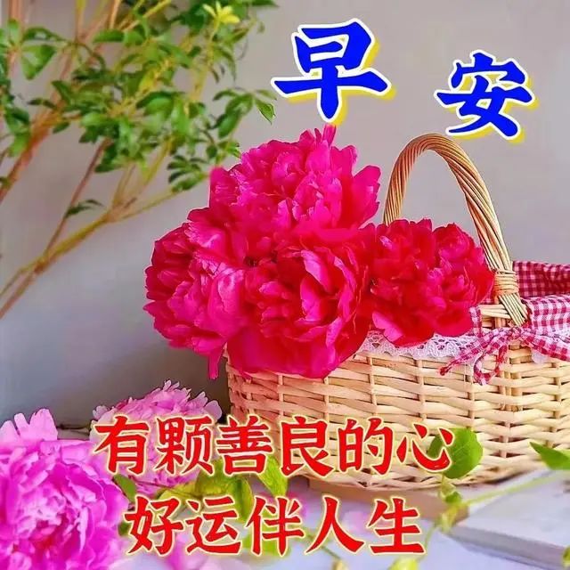早安,早上好,上午好