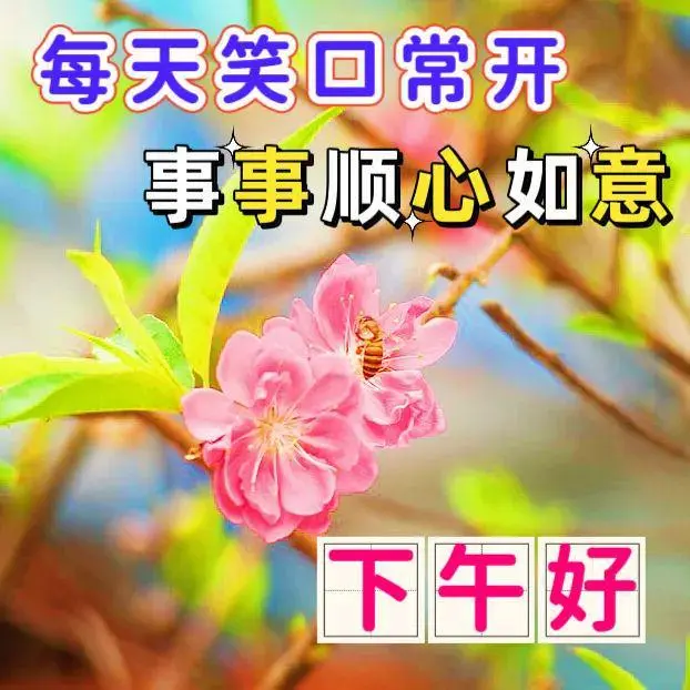 下午好