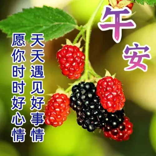 中午好,午安