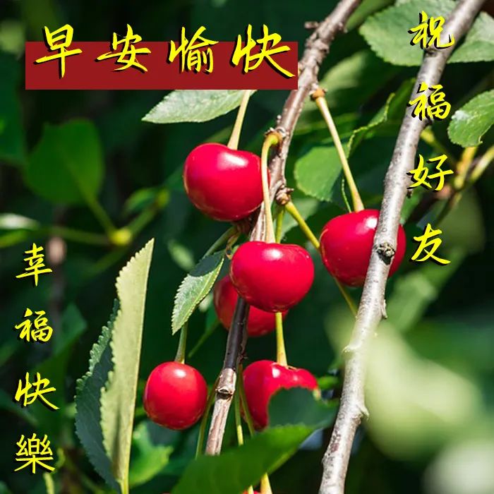 早安,早上好,上午好