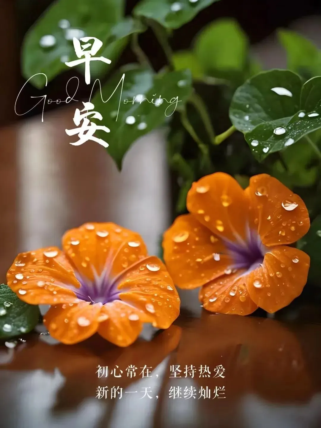 早安,早上好,上午好