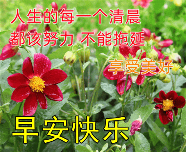 早安,早上好,上午好