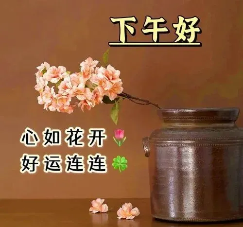 下午好
