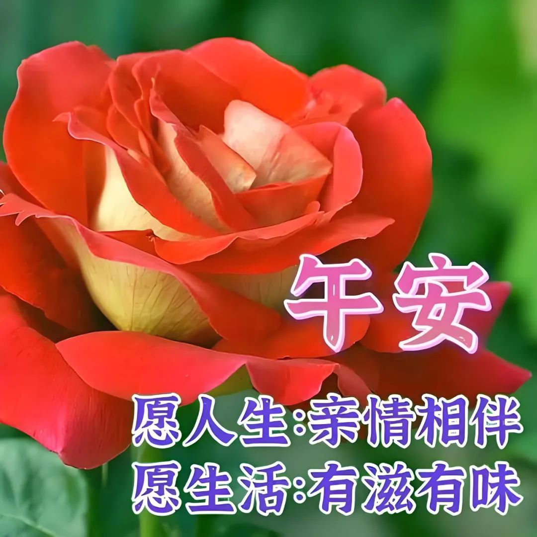 中午好,午安