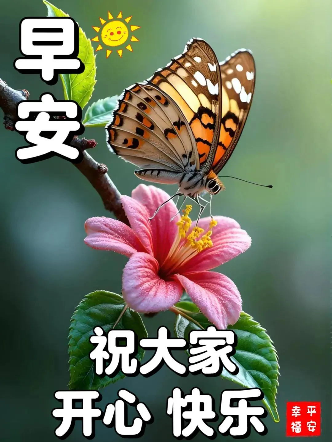早安,早上好,上午好