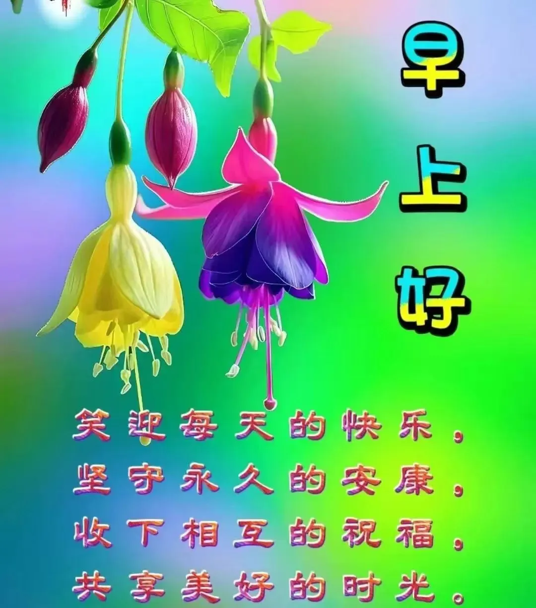 早安,早上好,上午好