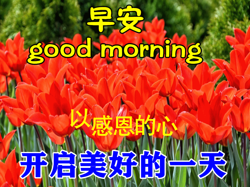 早安,早上好,上午好