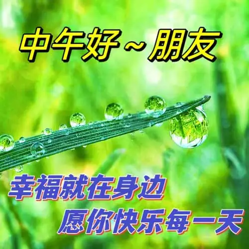 中午好,午安