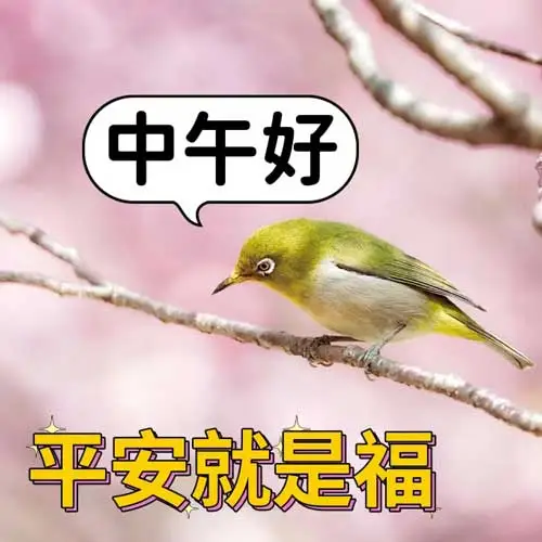 中午好,午安
