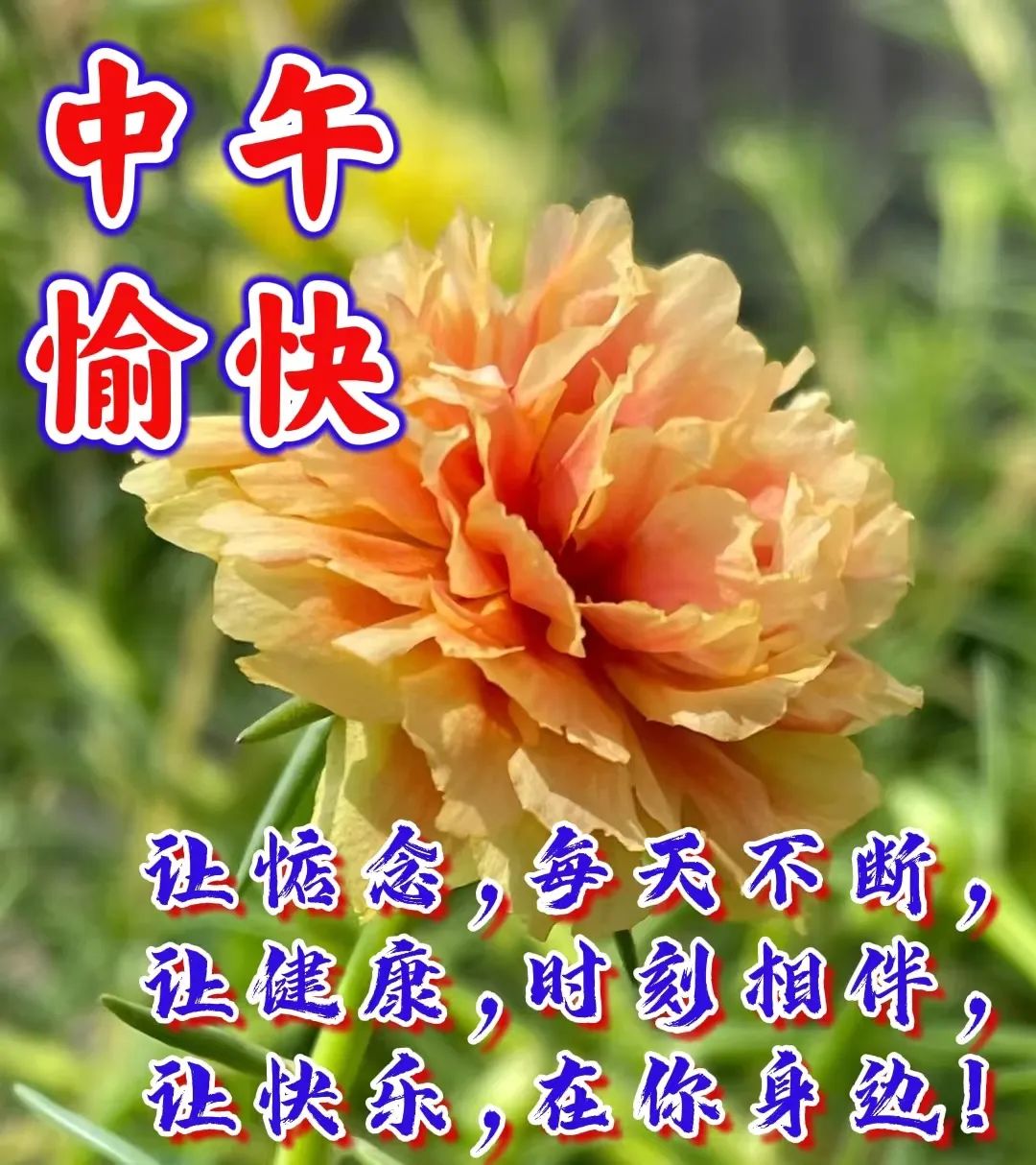 午安,中午好