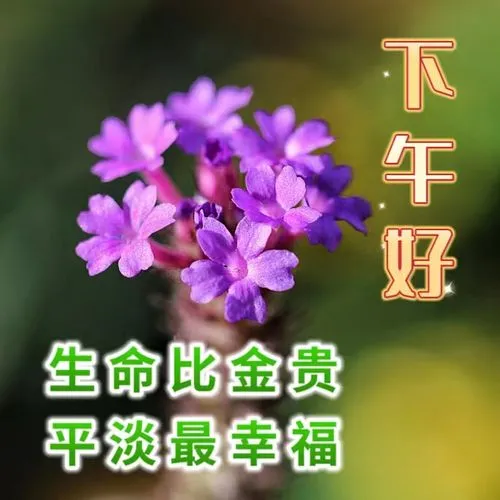 15条下午好，下午好简单最新祝福语，祝您开开心心每一天！平平安安幸福到永远！