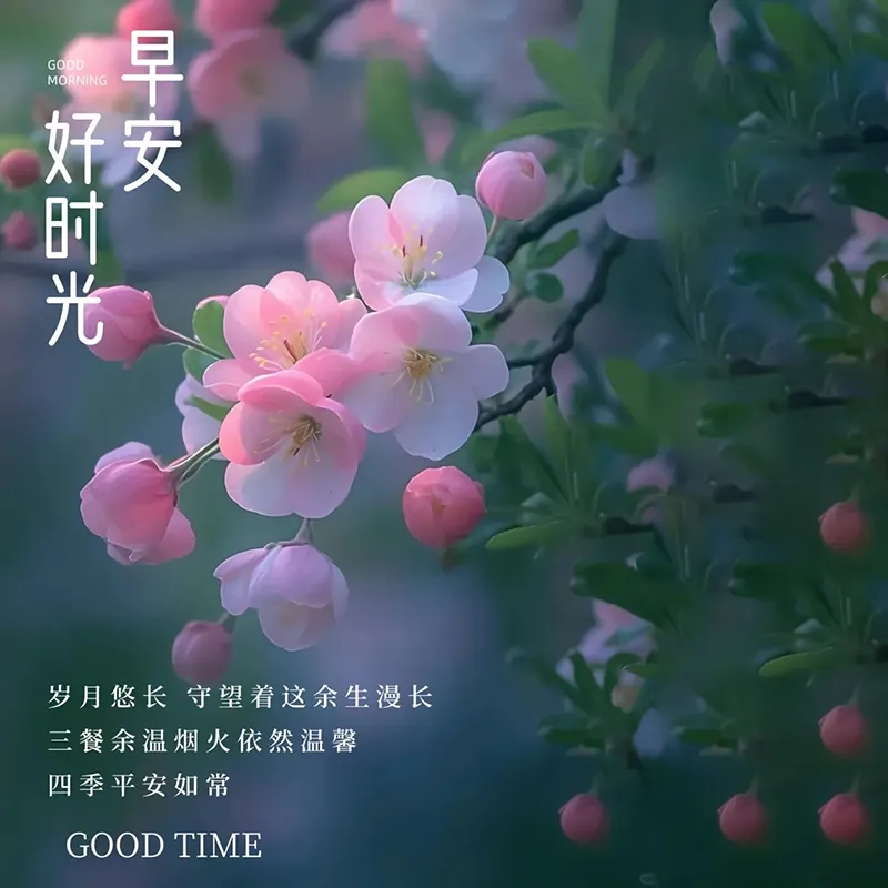 早安,早上好,上午好