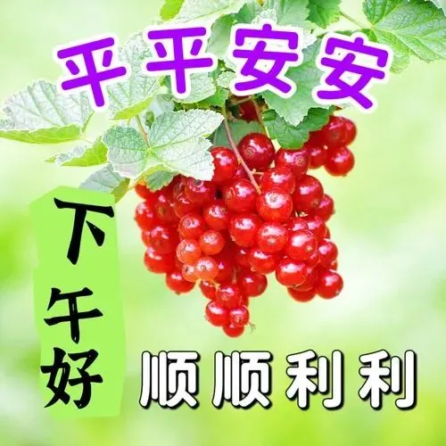 下午好