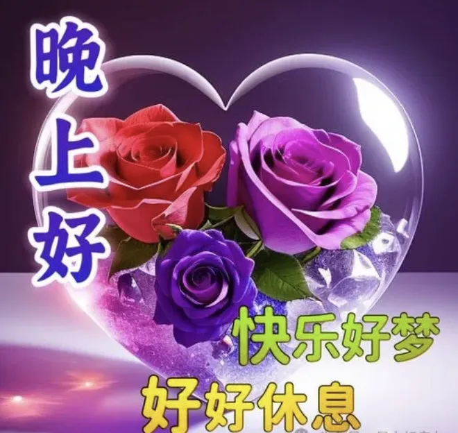 晚上好,晚安