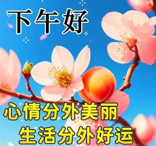 下午好