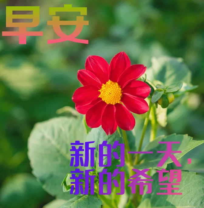 早安,早上好,上午好