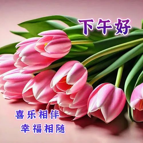 下午好