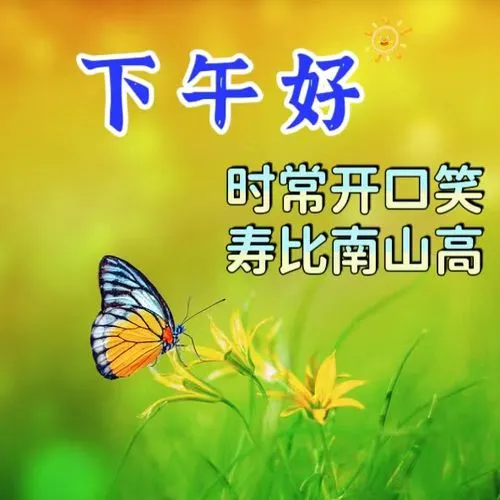 下午好