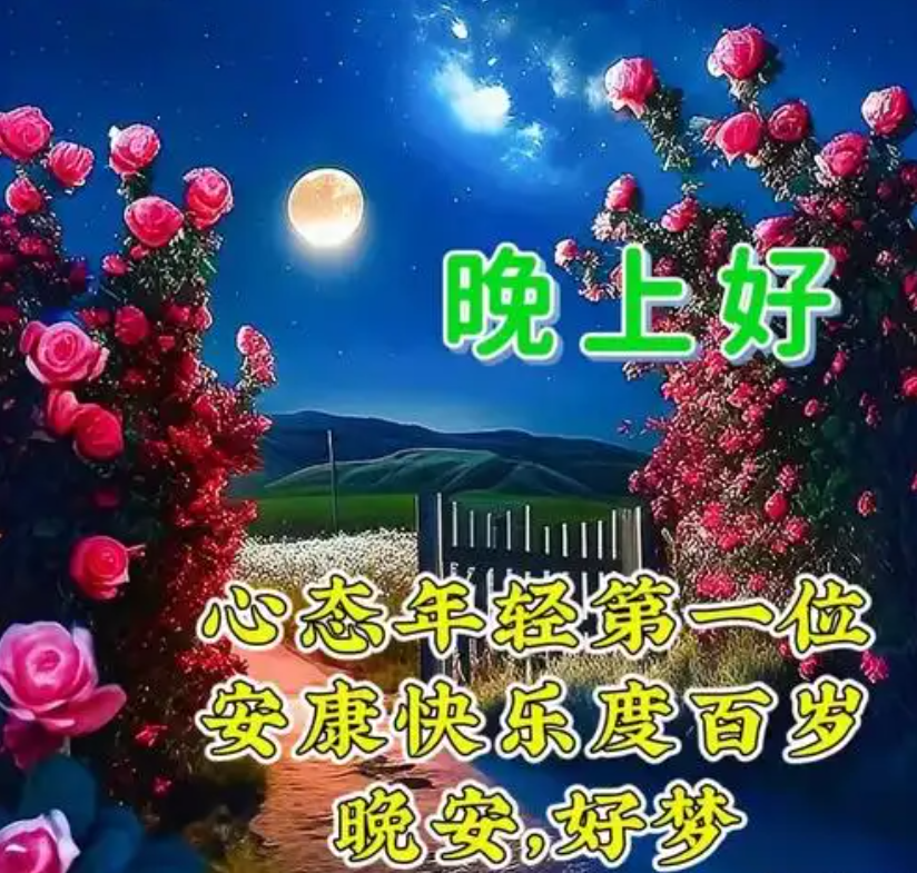 晚上好,晚安
